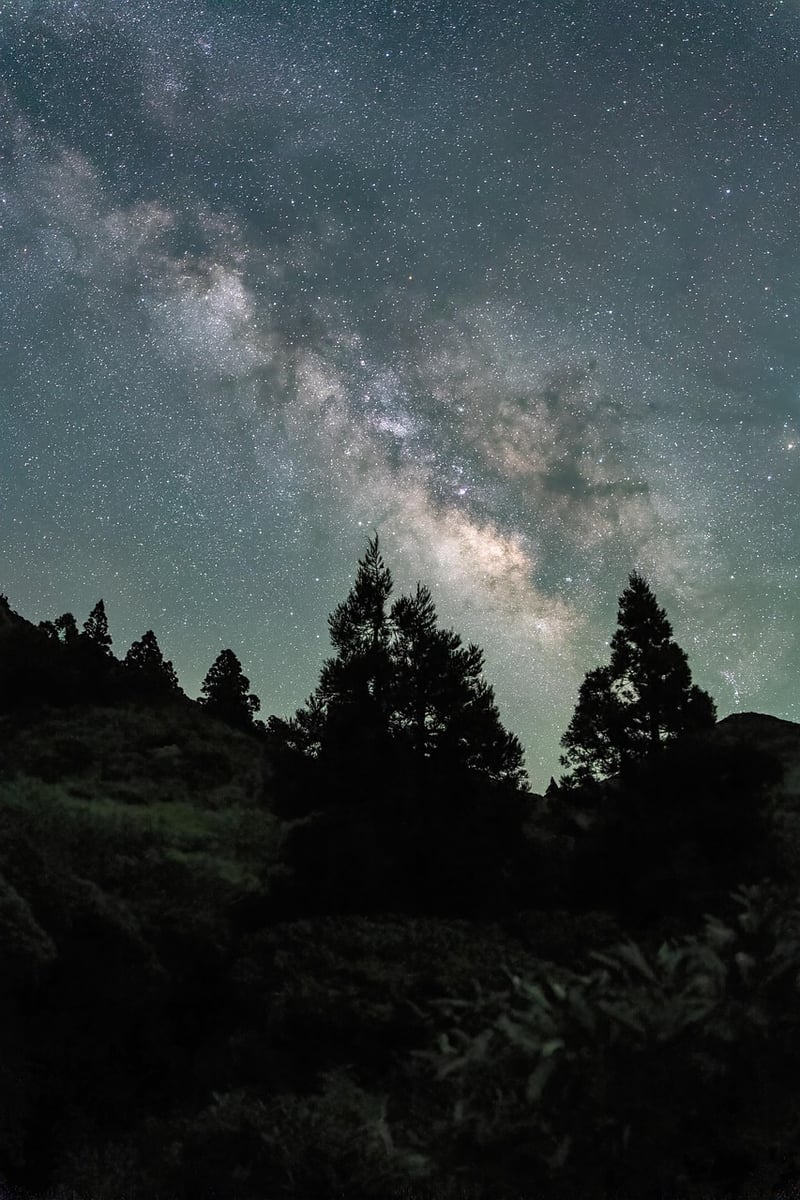 Milky Way Gowns