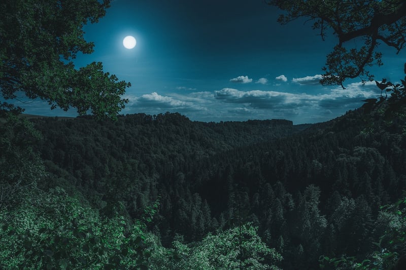 Luna Terrace